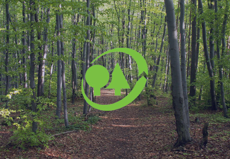 expertise-foret-bois